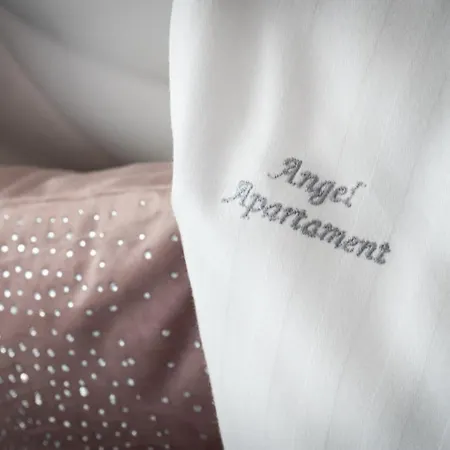 公寓 Angel 2 克拉科夫